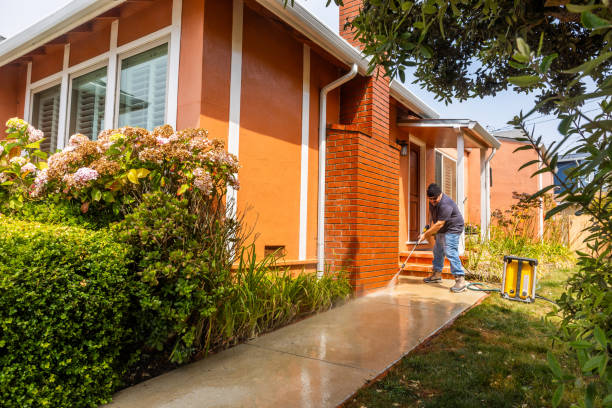 Best Deck Pressure Washing  in Earlvle, IL