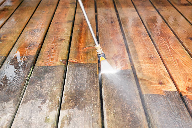 Best Exterior Home Cleaning  in Earlvle, IL